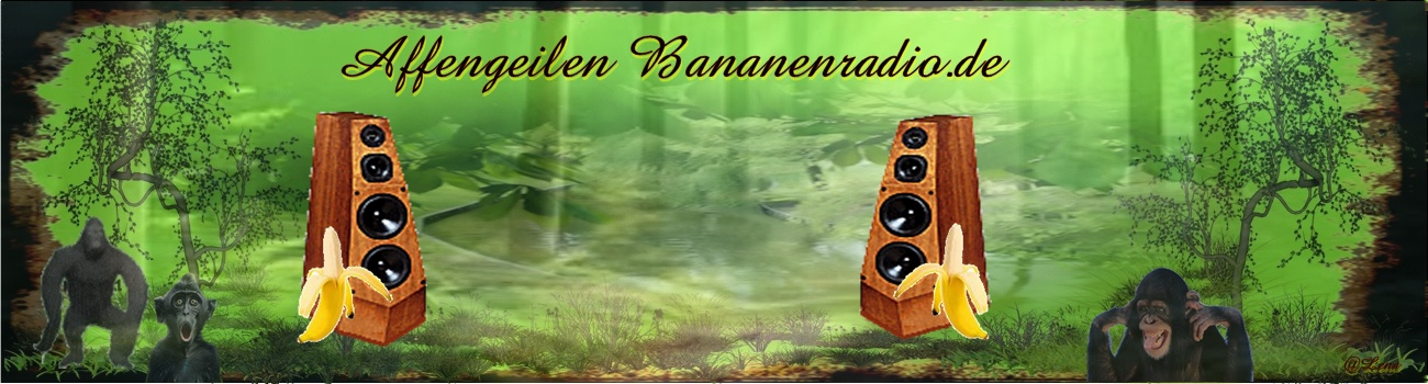 templates/turntableblau/header1.png?version=1779908614